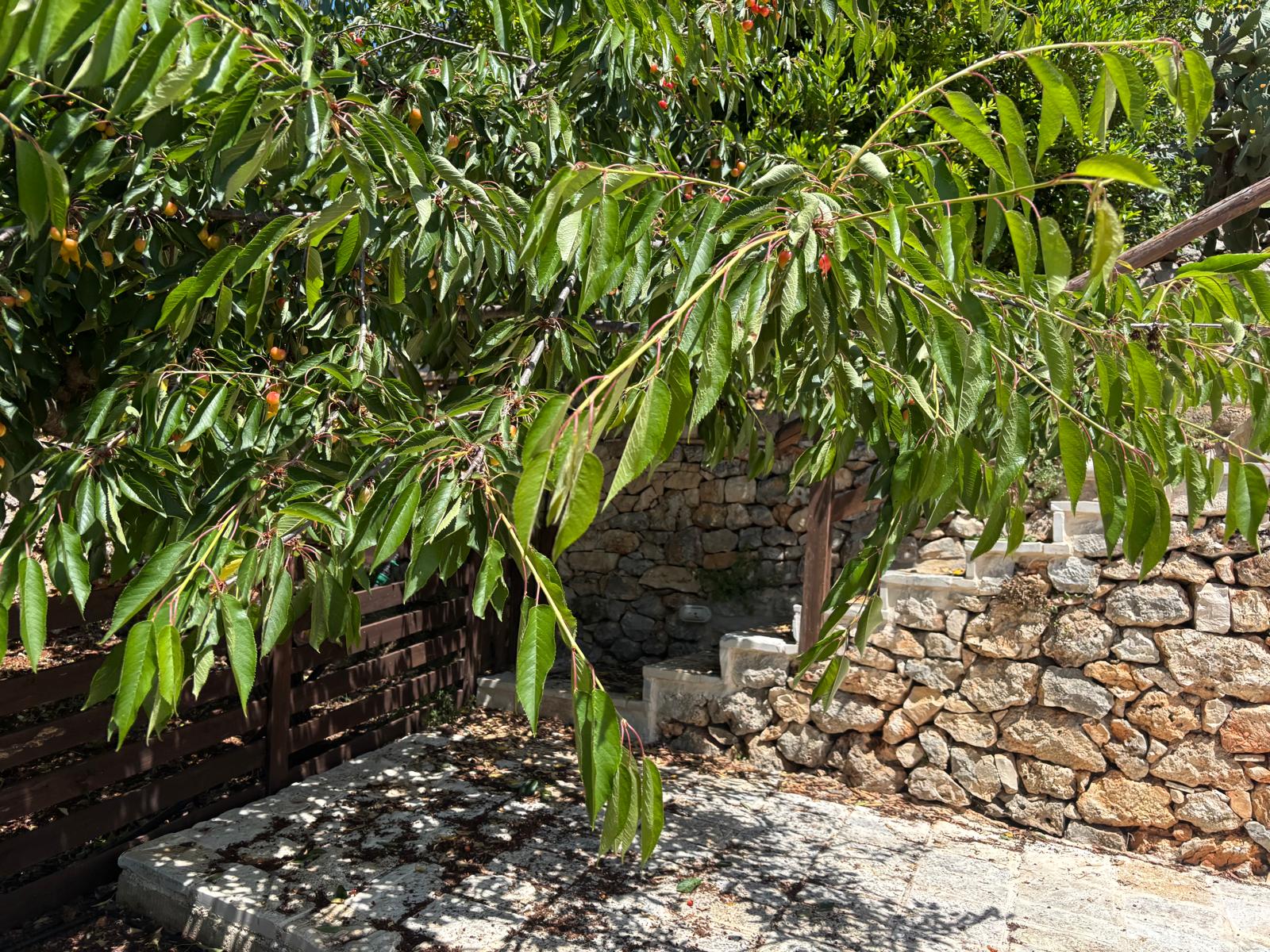 Tenuta Capovento