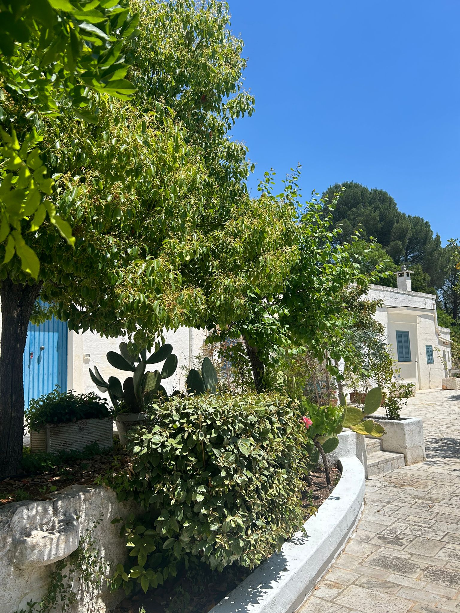 Tenuta Capovento